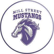 MSE logo